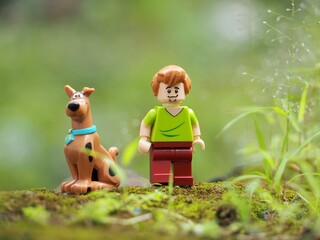 Fototapeta premium Indonesia - February 14, 2023 : Mini toy of action figure at grassland with blurred background. Toy photography concept. Scooby Doo and Shaggy Rogers character at outdoor conceptual design.