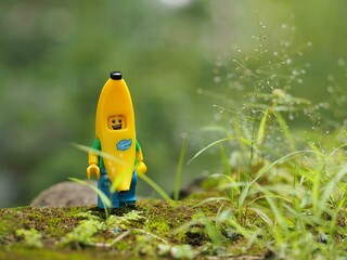Fototapeta premium Indonesia - February 14, 2023 : Mini toy figure of banana character at outdoor with blurred background. Toy photography concept design.