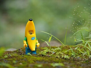Fototapeta premium Indonesia - February 14, 2023 : Mini toy figure of banana character at outdoor with blurred background. Toy photography concept design.