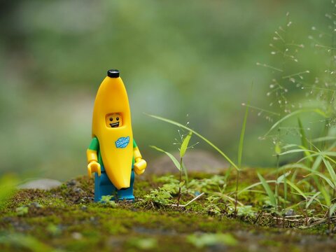Indonesia - February 14, 2023 : Mini toy figure of banana character at outdoor with blurred background. Toy photography concept design.