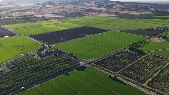 Agricultural farmland patchwork with green crops and orchards stretching toward rolling dry hills