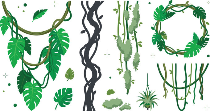 Tropical jungle vine collection featuring monstera leaves, hanging moss, climbing vines, botanical wreaths, and rainforest foliage flat vector illustration