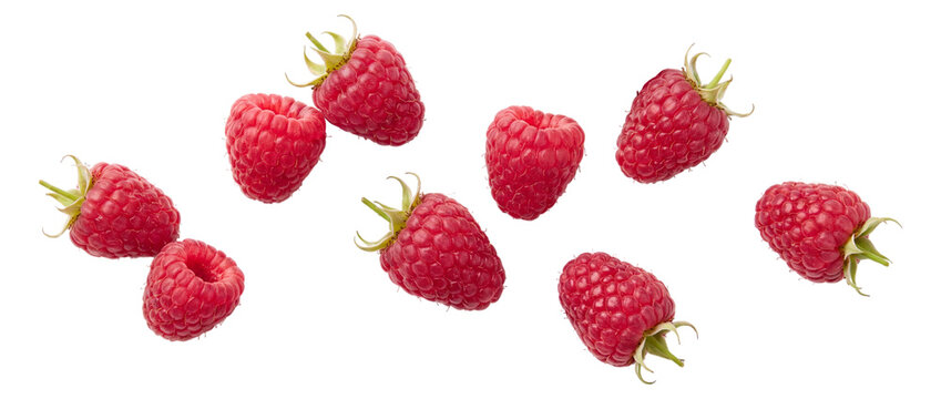 Floating raspberries, isolated on transparent background