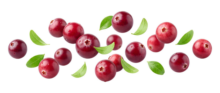 Cranberries with green leaves, isolated on transparent background