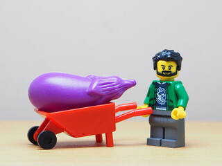 Fototapeta premium Indonesia - February 10, 2026 : Mini toy of action figure at outdoor with blur background. Miniature photography concept design. Minifigure of farmer character with purple eggplant and wheelbarrow.