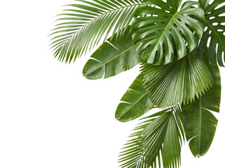 Overlapping green tropical leaves in a corner png isolated on transparent background © PNG Studio 99