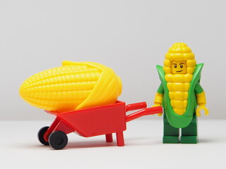 Fototapeta premium Indonesia - February 8, 2026 : Mini toy of action figure at outdoor with blur background. Miniature photography concept design. Minifigure of corn guy character with wheelbarrow at farm land.