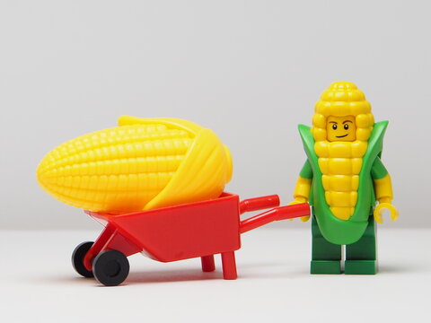 Indonesia - February 8, 2026 : Mini toy of action figure at outdoor with blur background. Miniature photography concept design. Minifigure of corn guy character with wheelbarrow at farm land.