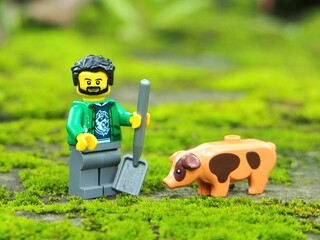 Fototapeta premium Indonesia - November 30, 2025 : Mini toy of action figure at outdoor with blurred background. Miniature photography concept design. Minifigure of farmer character and pig at farmland with green grass.