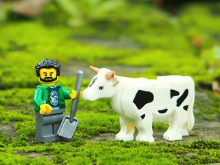 Fototapeta premium Indonesia - January 4, 2026 : Mini toy of action figure at table with blurred background. Toy photography concept design. Minifigure of farmer character at farmland with dairy cow. Agriculture theme.