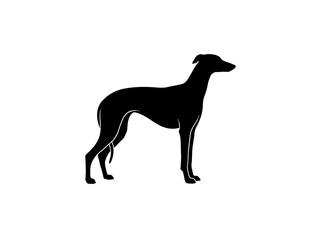 Fototapeta premium Black dog silhouette on white background. Minimalist greyhound icon for graphic design.