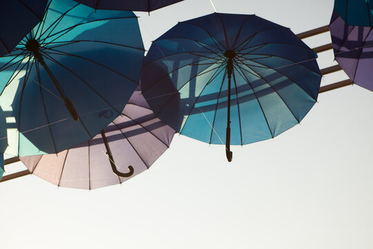Blue and purple umbrellas form a minimal overhead arrangement against the sky, outdoor decorative installation, creative festival background.