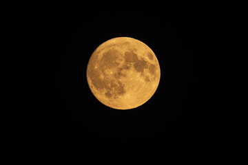 Fototapeta premium Close up of a detailed golden full moon isolated on black night sky background