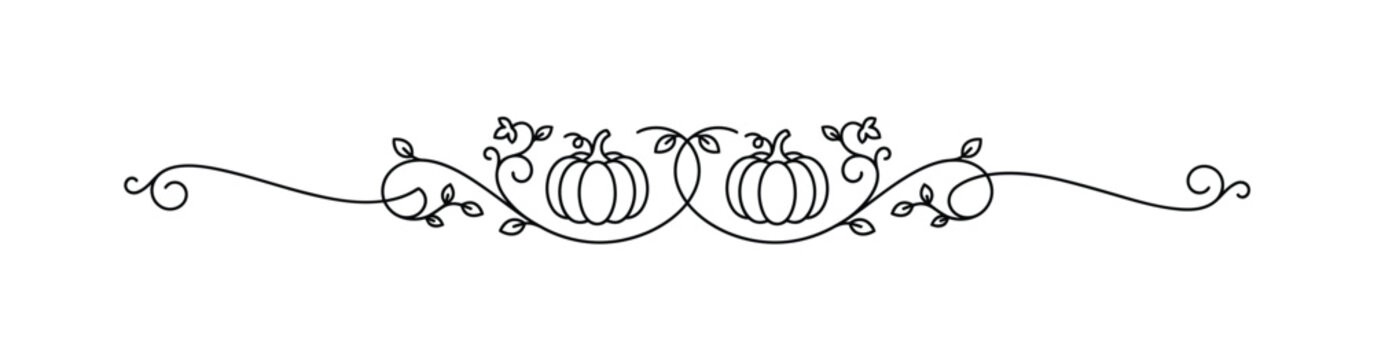 Autumn Pumpkin Vine Page Divider Line Art, Thanksgiving Ornamental Border Swirl Vector Illustration, Fall Season Decorative Floral Scroll Line, Calligraphic Harvest Pumpkin Border Element