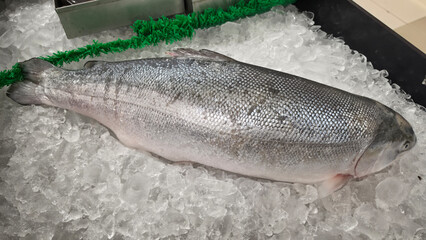 Whole fresh salmon displayed on crushed ice at a supermarket seafood counter, highlighting chilled retail presentation, premium quality, freshness and grocery shopping concepts © Suardi Tan