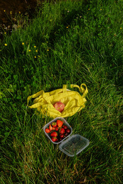 Basket with strawberries on grass near the water in sunny weather