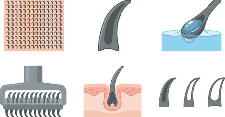 Biomimicry Shark Skin Engineering Vector Set with Microscopic Denticle Texture Patterns Hydrodynamic Scale Structures Fluid Drag Reduction Schematics and Dermal Denticles Science Diagrams © MatRukshana