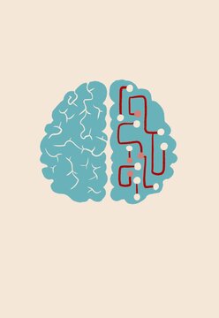 Diagram Shows Human Brain With Pathways and Connections