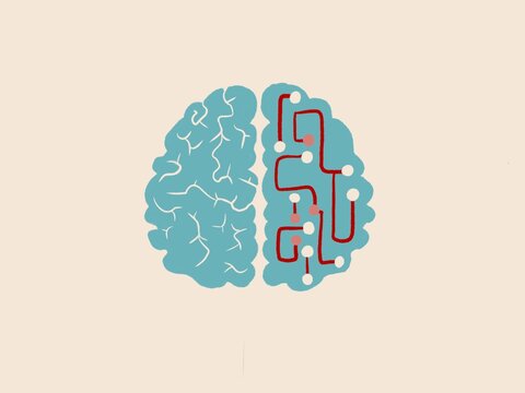 Brain Illustration Showing Left and Right Hemispheres With Circuits
