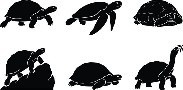 Turtle and Tortoise Silhouette Vector Collection Featuring Walking, Swimming, and Grazing Poses for Wildlife and Nature Design
