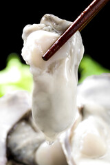 Fresh Raw Oyster on Chopsticks Studio Food Photography Seafood Delicacy © VuVan