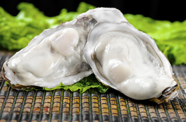 Fresh Raw Oysters on Bamboo Mat with Lettuce - Delicious Seafood Studio Shot © VuVan