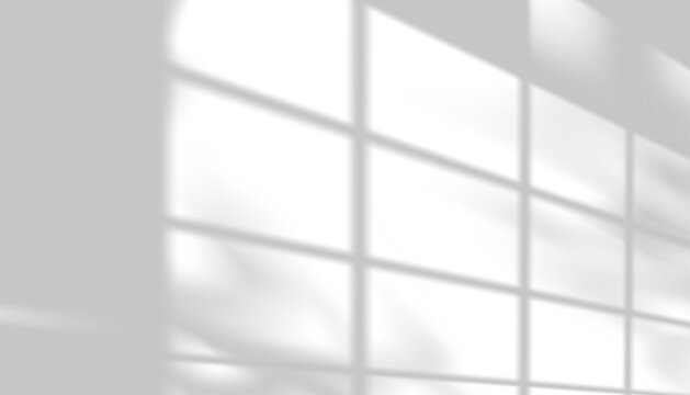Window Sunlight And Light On Wall, Sun Shadow Across White Background With Tree And Room Overlay, Bright Leaf Effect, Frame Pattern In Gray, Minimal Interior Design And Natural Lighting Texture.