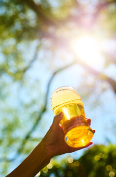 Glass of Beer Against Trees and Sky wiht Sun