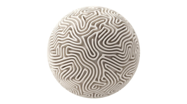 Close-up of a spherical object with intricate, organic, maze-like patterns on its textured surface against a white background.