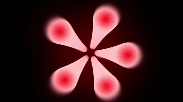 A vibrant red glowing flower shape rotating slowly against a deep black background for visual art.