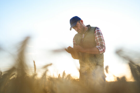 Checking Crop Quality