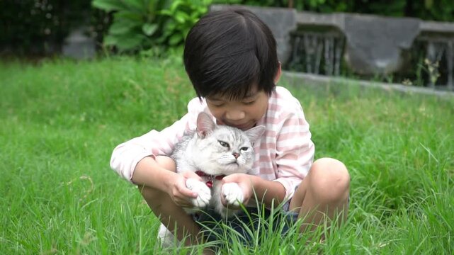 Cute Asian boy hugging and playing with a silver cat on green grass outdoors.