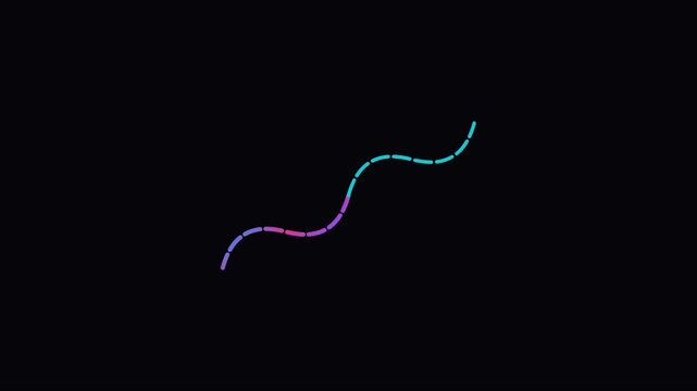 Animated gradient line path with dashed and solid stroke motion animation 4k