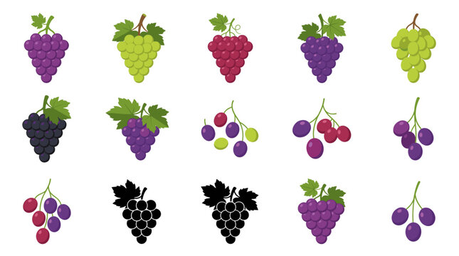 Collection of Grape Vector Illustrations Featuring Green, Red and Black Grape Bunches, Grape Cluster with Leaf and Fresh Grapes Isolated on White Background