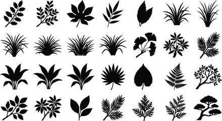 Fototapeta premium Leaf silhouette vector collection, tropical plants and tree foliage icons for nature branding, modern logo design, eco friendly packaging, and botanical web graphics