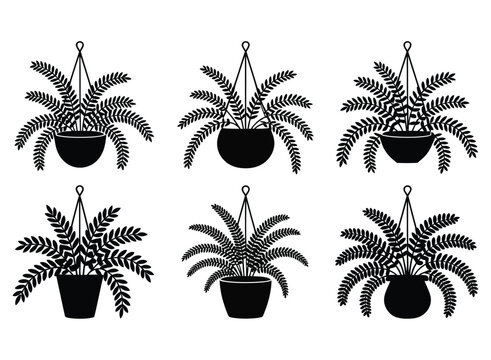 Six stylized black silhouette illustrations of hanging fern plants in pots isolated on transparent background