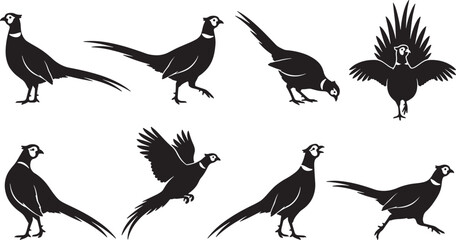 Fototapeta premium Pheasant bird silhouettes collection featuring various poses and movements in a flat black vector graphic design