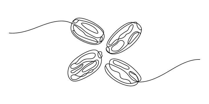 continuous line drawing Four detailed coffee beans arranged in a circle with flowing lines