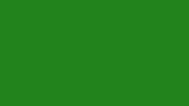 animated shine star on green screen 4k animation, luxury white glitter sparkles line trail, magic sparkles glitter star shep stars, pixie dust path, glittering stars particles background overlay