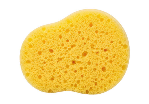 A single bright yellow soft cleaning sponge for washing dishes and household use isolated on transparent background