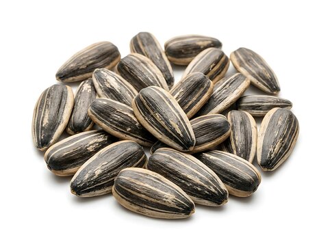 A small pile of raw organic sunflower seeds isolated on a clean white background
