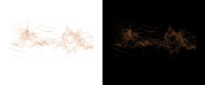 Abstract golden neural network connections, glowing copper fiber optic lines, digital brain synapse energy flow on black and white backgrounds