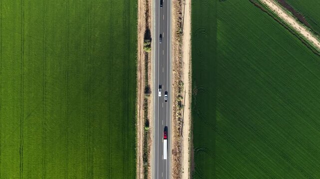 Asphalt road cutting through vibrant green agricultural fields