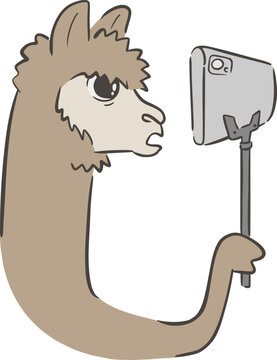 Vector llama holding smartphone on selfie stick, talking during funny live streaming session