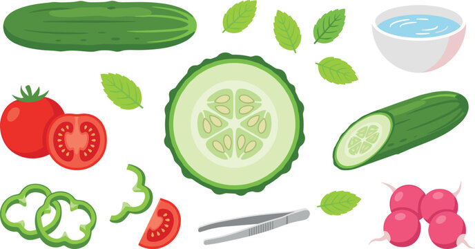  Flat vector illustration of raw salad ingredients collection with whole and sliced cucumbers fresh tomatoes peppers radish and green leaves