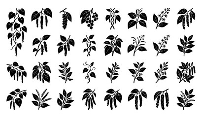 Fototapeta premium Tropical Plant Leaves Silhouette Collection with Botanical Foliage Nature Decorative Vector Illustration Set