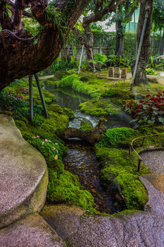 Tranquil river scene with mossy rocks and morning mist in forest,dreamlike atmosphere in the woods,waterfall in nature rainforest concept.