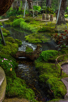Tranquil river scene with mossy rocks and morning mist in forest,dreamlike atmosphere in the woods,waterfall in nature rainforest concept.
