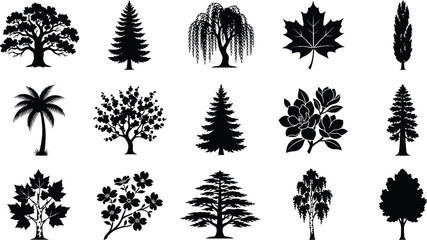 Collection of fifteen black tree silhouettes featuring diverse species including oak, willow, palm, and magnolia on a white background © hr graphics