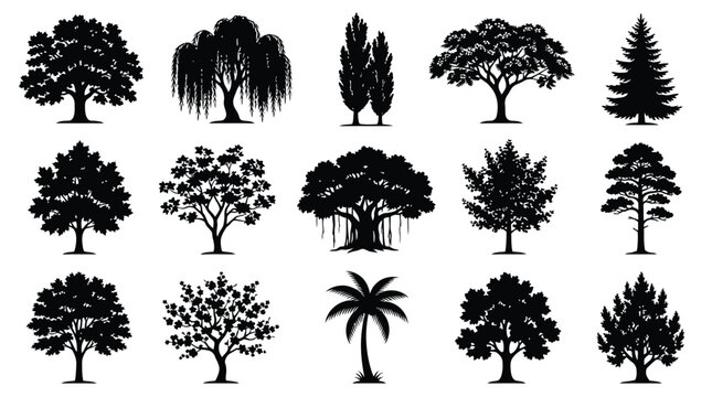 Collection of fifteen black tree silhouettes featuring diverse species including oak, willow, palm, and pine on a white background